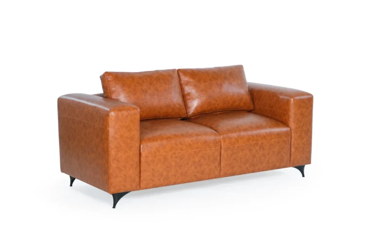 SF8011-2s Bagjoe 2 Seater Sofa