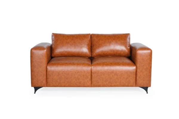 SF8011-2s Bagjoe 2 Seater Sofa tampak depan